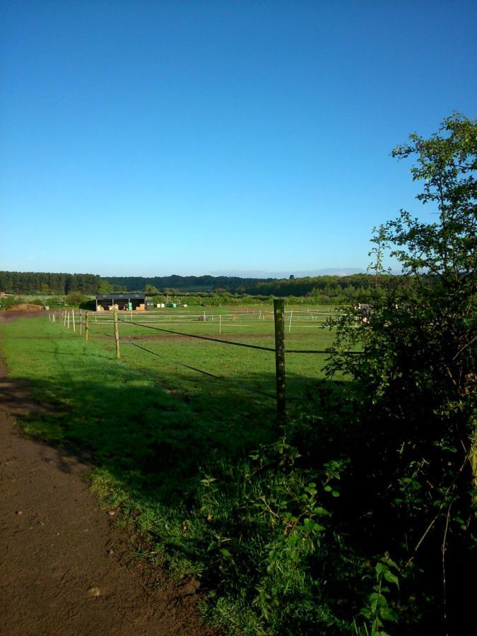 Clumber Lane End Farm Acomodação com café da manhã Worksop Exterior foto